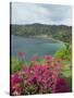 Charlotteville, Tobago, West Indies, Caribbean, Central America-Harding Robert-Stretched Canvas