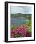 Charlotteville, Tobago, West Indies, Caribbean, Central America-Harding Robert-Framed Photographic Print