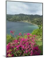 Charlotteville, Tobago, West Indies, Caribbean, Central America-Harding Robert-Mounted Photographic Print