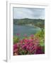 Charlotteville, Tobago, West Indies, Caribbean, Central America-Harding Robert-Framed Photographic Print