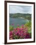 Charlotteville, Tobago, West Indies, Caribbean, Central America-Harding Robert-Framed Photographic Print