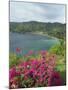Charlotteville, Tobago, West Indies, Caribbean, Central America-Harding Robert-Mounted Photographic Print