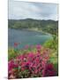 Charlotteville, Tobago, West Indies, Caribbean, Central America-Harding Robert-Mounted Photographic Print