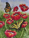 Monarch and Gerba Daisies-Charlsie Kelly-Giclee Print