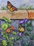 Monarch and Gerba Daisies-Charlsie Kelly-Giclee Print