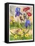 Framed Canvas