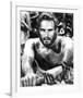 Charlton Heston - Ben-Hur-null-Framed Photo