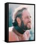 Charlton Heston - Planet of the Apes-null-Framed Stretched Canvas