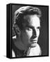 Charlton Heston-null-Framed Stretched Canvas