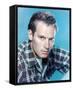 Charlton Heston-null-Framed Stretched Canvas