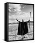 Charlton Heston-null-Framed Stretched Canvas