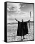 Charlton Heston-null-Framed Stretched Canvas