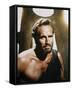 Charlton Heston-null-Framed Stretched Canvas