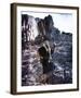 Charlton Heston-null-Framed Photo