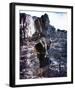 Charlton Heston-null-Framed Photo