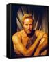 Charlton Heston-null-Framed Stretched Canvas