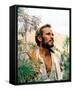 Charlton Heston-null-Framed Stretched Canvas