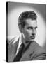 Charlton Heston-null-Stretched Canvas