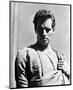 Charlton Heston-null-Mounted Photo