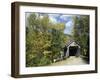 Charming Covered Bridge-null-Framed Photographic Print