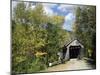 Charming Covered Bridge-null-Mounted Photographic Print