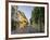 Charming residential street in historic Cartagena, Colombia.-Jerry Ginsberg-Framed Photographic Print