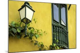 Charming Spanish Colonial Architecture, Old City, Cartagena, Colombia-Jerry Ginsberg-Mounted Photographic Print