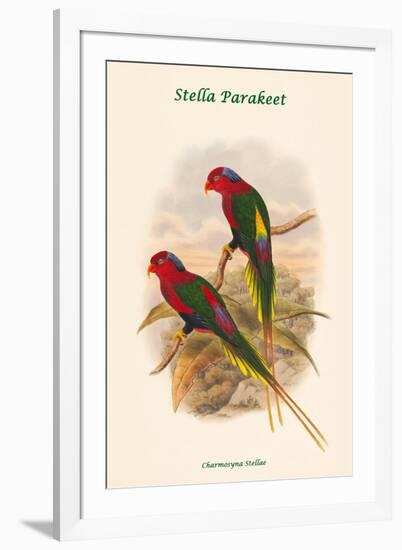 Charmosyna Stellae - Stella Parakeet-John Gould-Framed Art Print