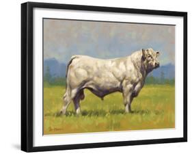 Charolais Bull-Peter Munro-Framed Premium Giclee Print