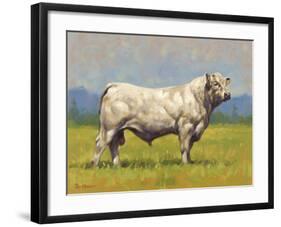 Charolais Bull-Peter Munro-Framed Premium Giclee Print