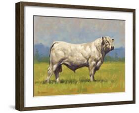 Charolais Bull-Peter Munro-Framed Premium Giclee Print