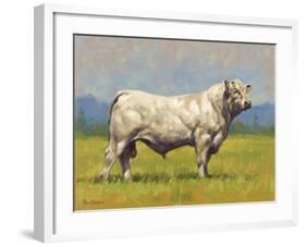 Charolais Bull-Peter Munro-Framed Premium Giclee Print