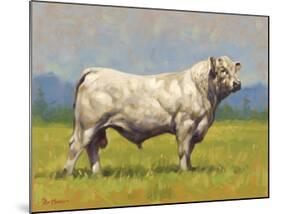 Charolais Bull-Peter Munro-Mounted Premium Giclee Print