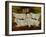 Charolais Bulls, Dippenhall, Farnham-Gareth Lloyd Ball-Framed Giclee Print