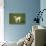 Charolaise Cow Calf on Grass-null-Stretched Canvas displayed on a wall