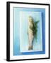Charr with Dill-Oliver Schwarzwald-Framed Photographic Print