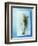 Charr with Dill-Oliver Schwarzwald-Framed Photographic Print