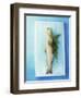 Charr with Dill-Oliver Schwarzwald-Framed Photographic Print