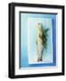 Charr with Dill-Oliver Schwarzwald-Framed Photographic Print