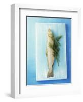 Charr with Dill-Oliver Schwarzwald-Framed Photographic Print