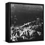 Charred Bodies of the Crew of a Zeppelin Shot Down over Billericay, Essex, World War I, 1916-null-Framed Stretched Canvas