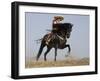 Charro on a Black Andalusian Stallion Galloping in Ojai, California, USA-Carol Walker-Framed Photographic Print
