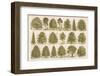 Chart of British Forest Trees-null-Framed Photographic Print