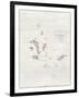 Chart of the Galapagos, 1798-Aaron Arrowsmith-Framed Premium Giclee Print