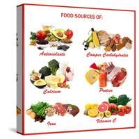 Chart Showing Food Sources of Various Nutrients-Robyn Mackenzie-Stretched Canvas