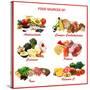 Chart Showing Food Sources of Various Nutrients-Robyn Mackenzie-Stretched Canvas