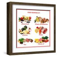 Chart Showing Food Sources of Various Nutrients-Robyn Mackenzie-Framed Art Print