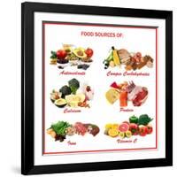 Chart Showing Food Sources of Various Nutrients-Robyn Mackenzie-Framed Art Print