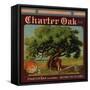 Charter Oak Brand - Charter Oak, California - Citrus Crate Label-Lantern Press-Framed Stretched Canvas