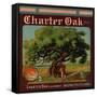 Charter Oak Brand - Charter Oak, California - Citrus Crate Label-Lantern Press-Framed Stretched Canvas